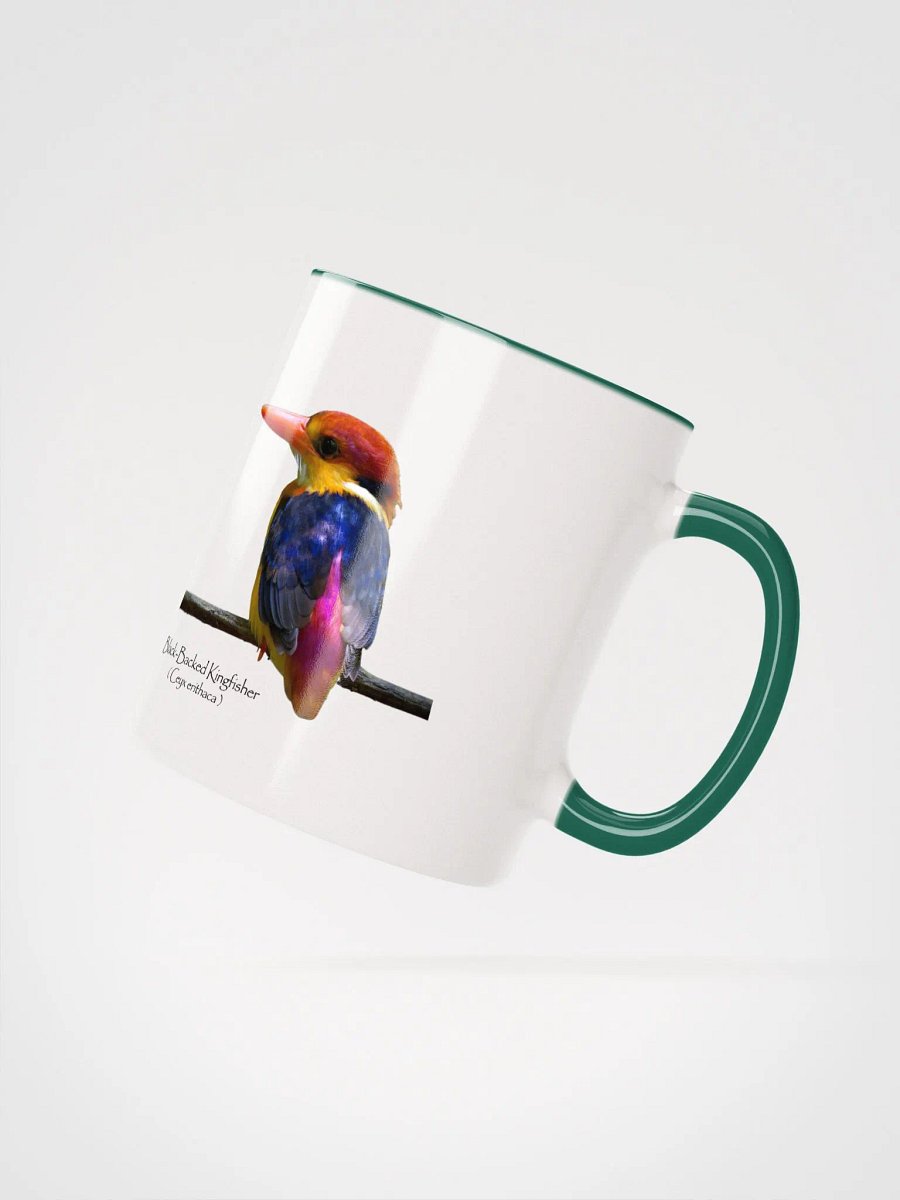 Oriental Dwarf Kingfisher product image (15)
