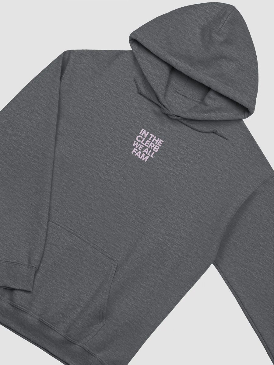 IN THE CLERB, WE ALL FAM Classic Hoodie product image (5)
