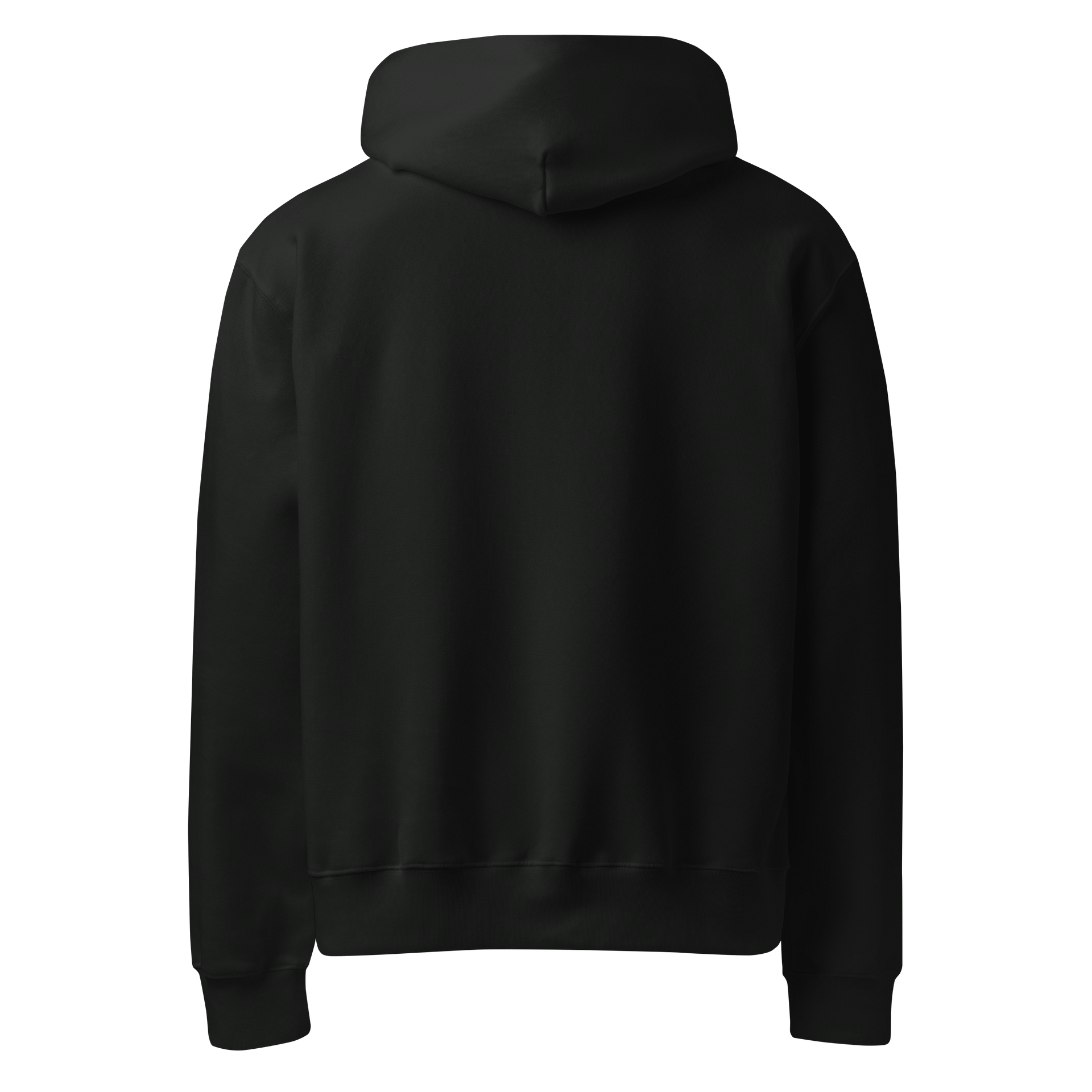 Milo And Abby Hoodie product image (2)