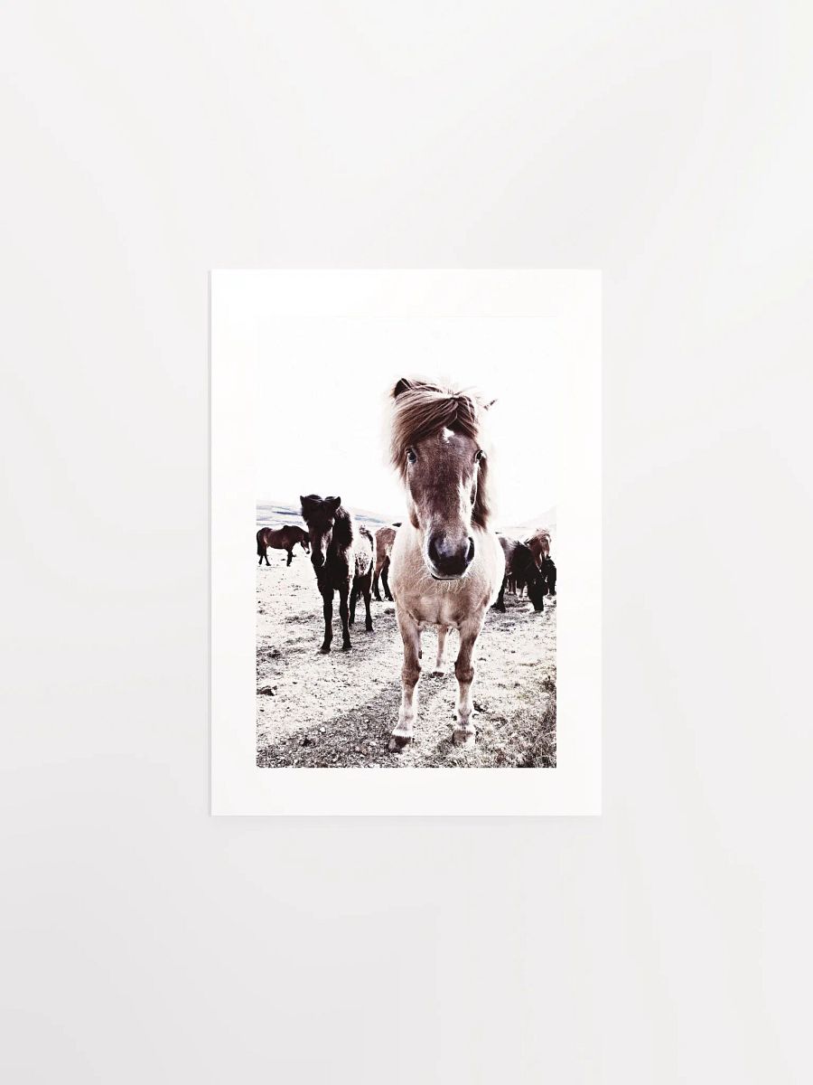 Iceland Horses Passepartout Print product image (5)