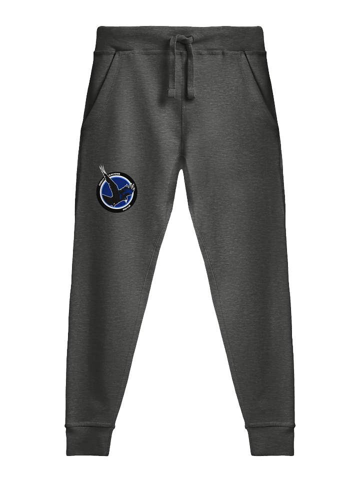 NIGHT RAVEN JOGGERS product image (2)