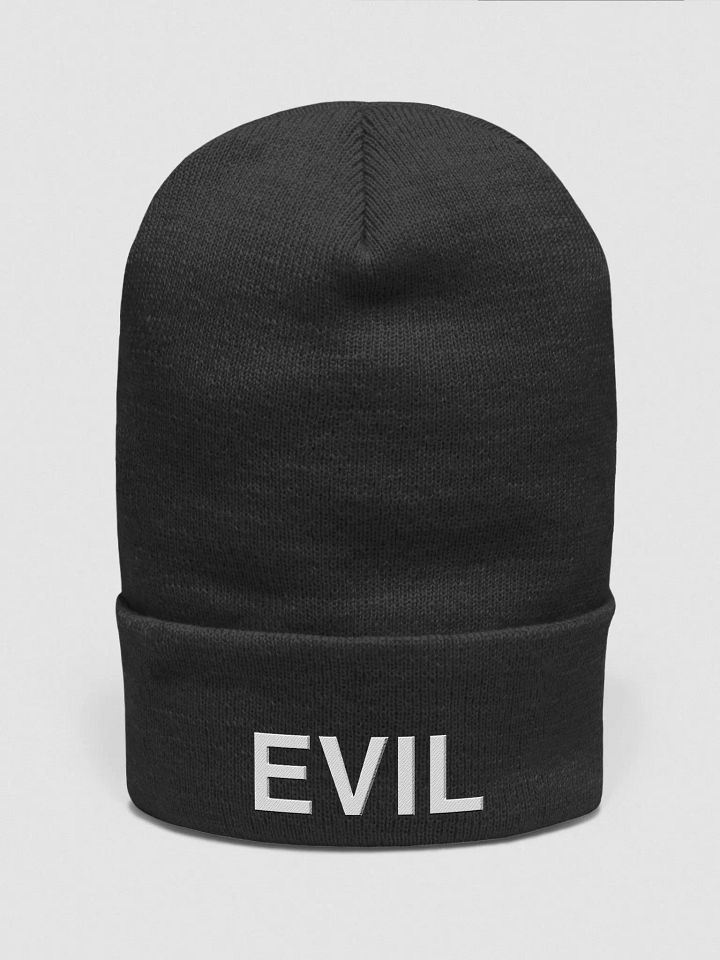 EVIL Beanie product image (2)