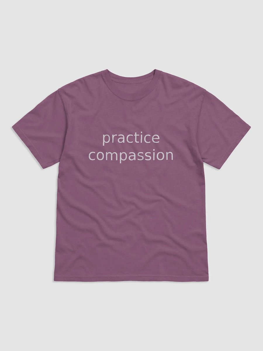 Practice Compassion T-Shirt product image (1)