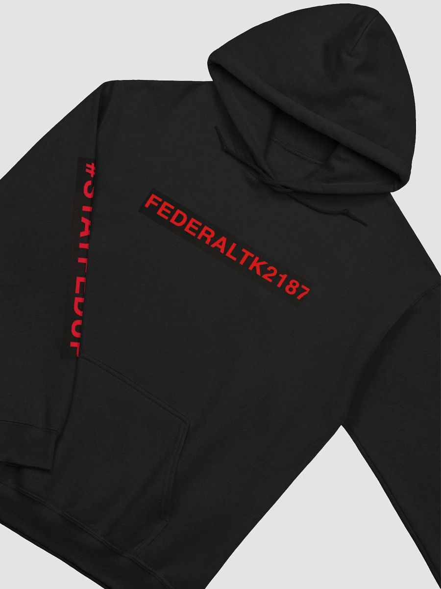 FEDERALTK2187 #StayFedUp Sleeve Print Hoodie product image (3)