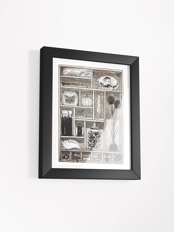 Cabinet of Curiosities Framed Art Print product image (2)