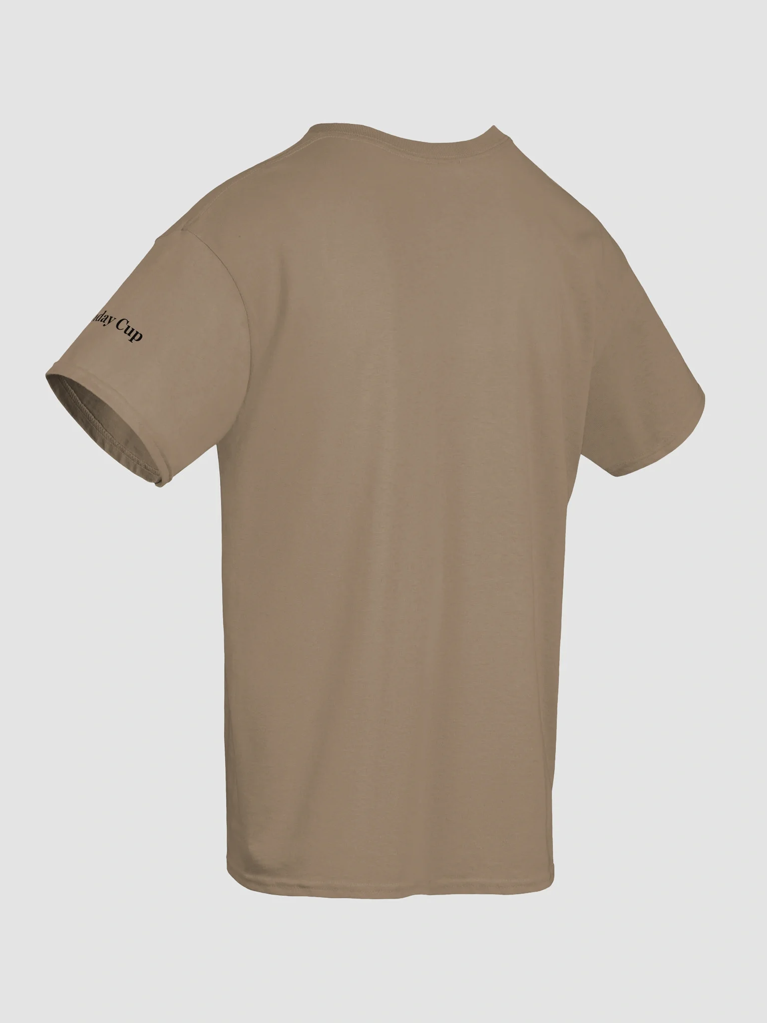 Light is Right (clean, gildan tee) product image (70)