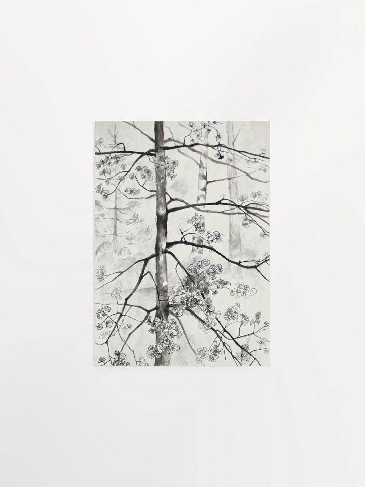 Young Pine Tree Sketch Poster - Young Pine Tree product image (1)
