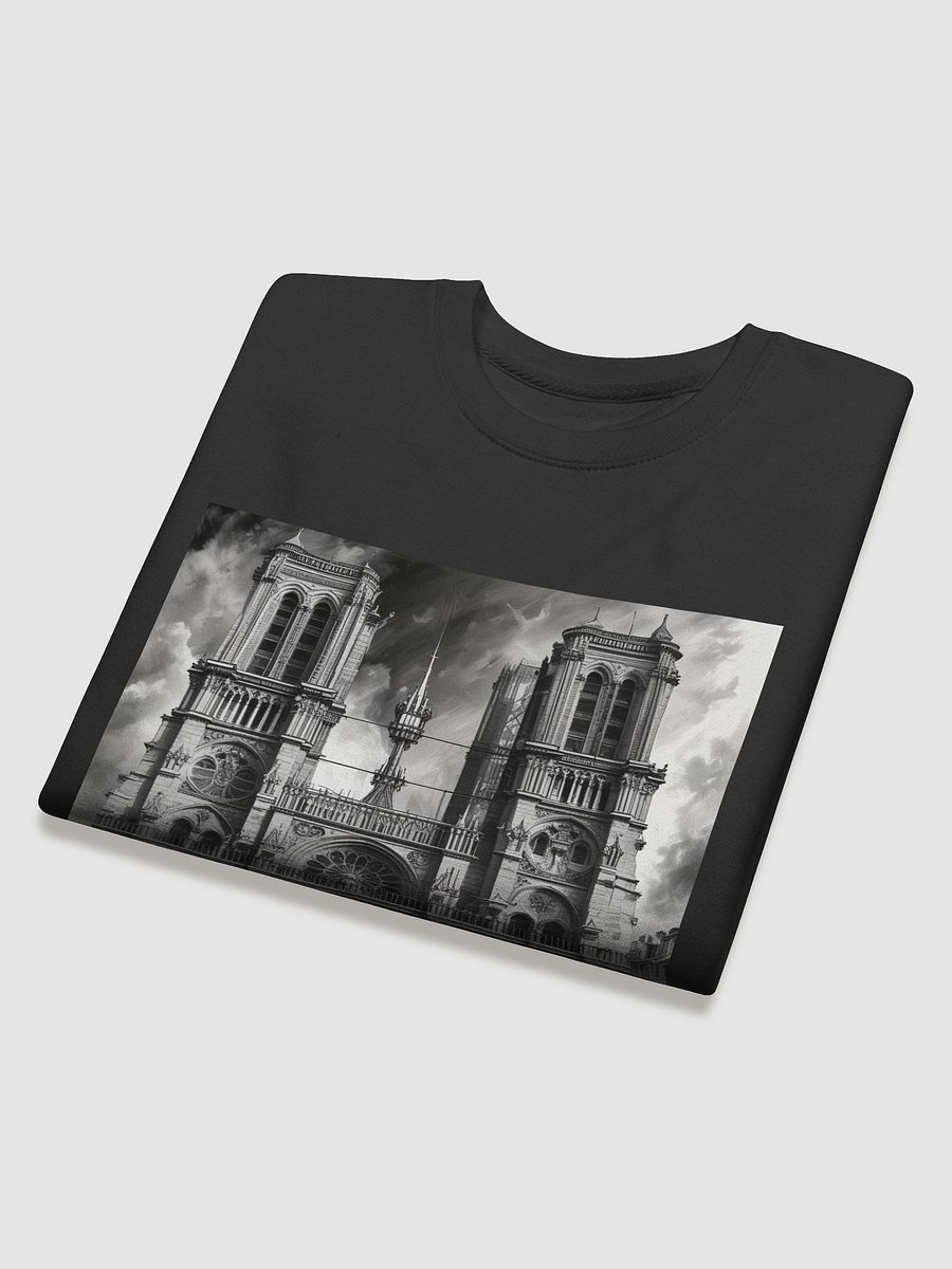 notre dame de paris product image (34)