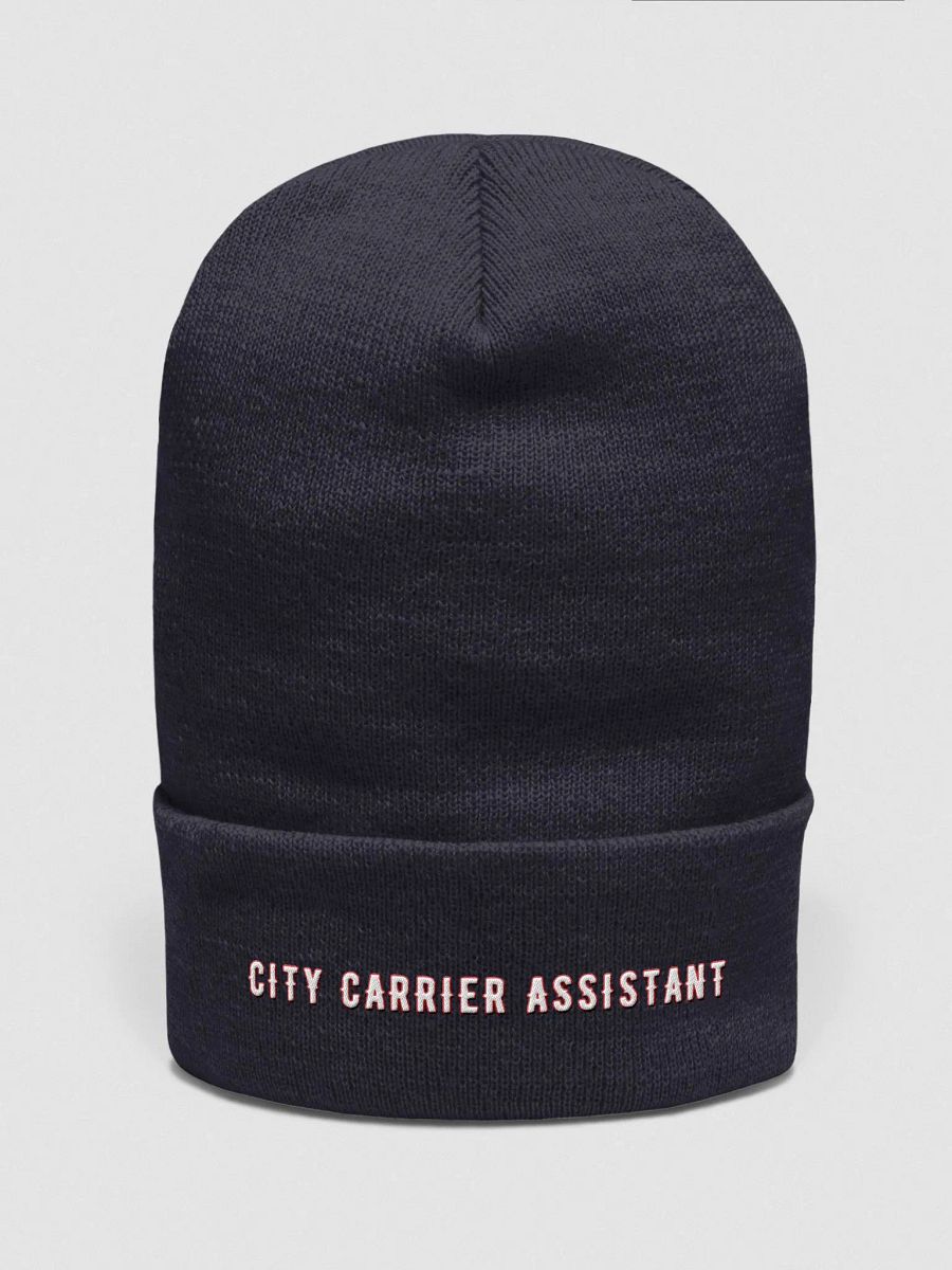 Express Male CCA Soft Beanie - NAVY product image (5)
