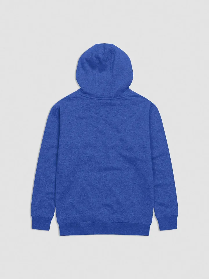 Allegedly Hoodie product image (2)