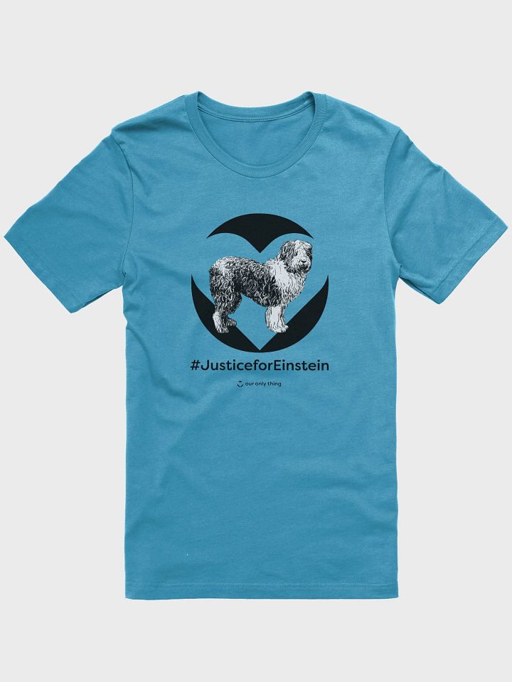 Premium #JusticeforEinstein Unisex Supersoft T-shirt product image (41)