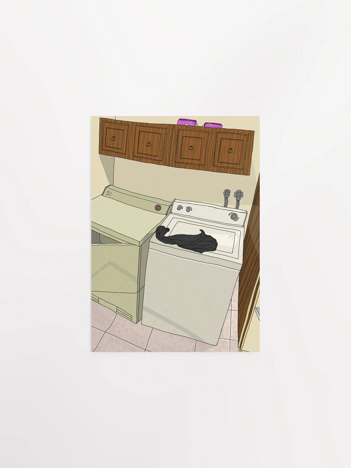laundry product image (2)