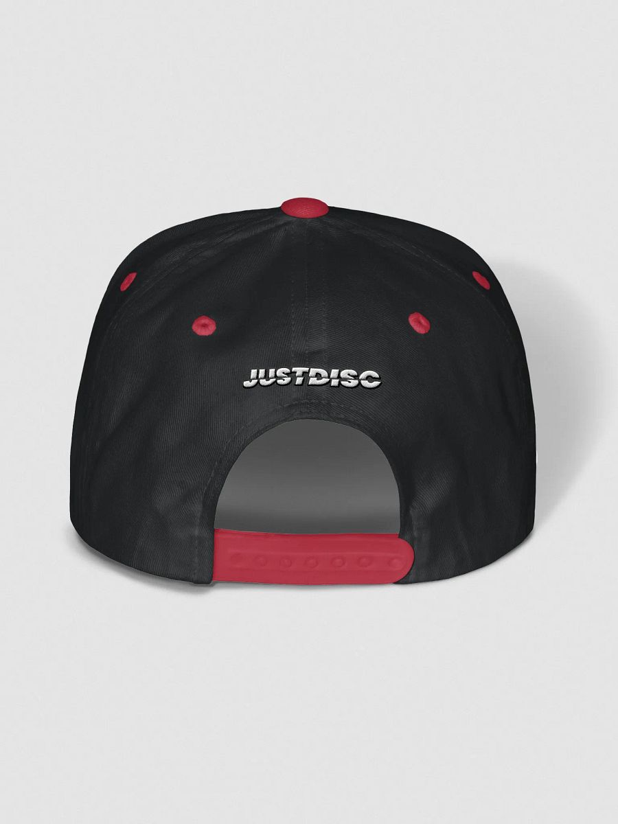 JustDisc Embroidered Snapback Hat product image (4)