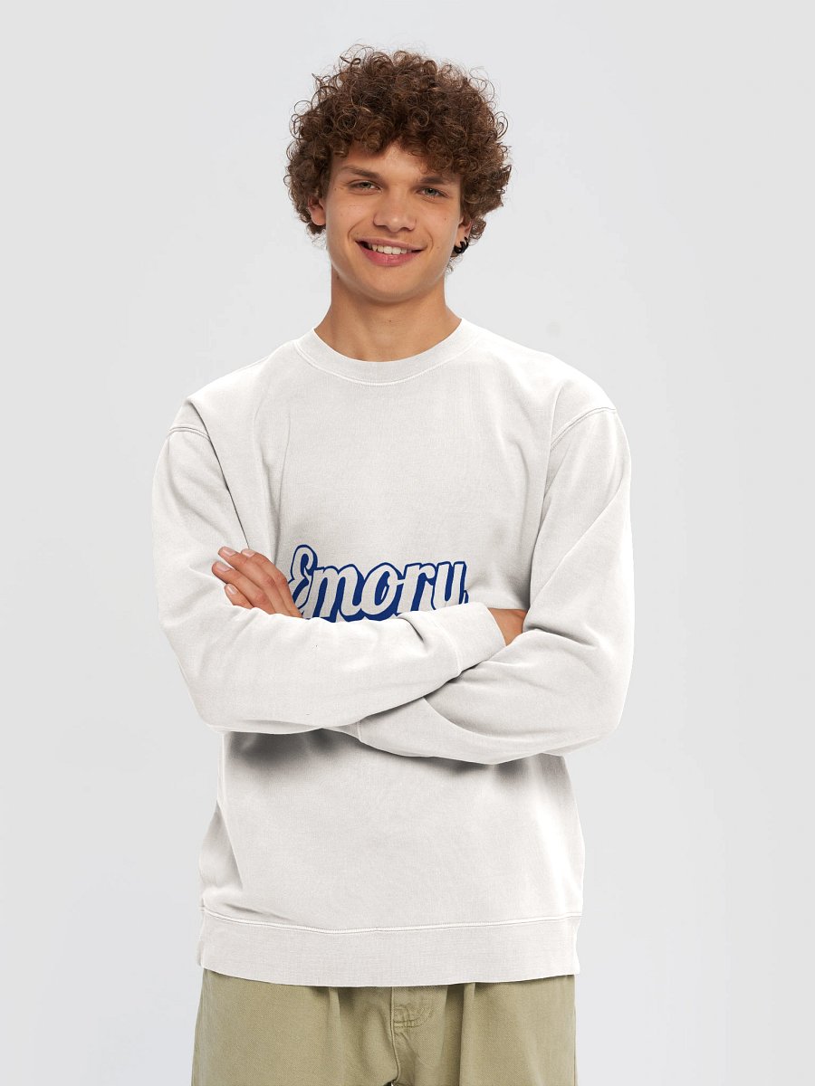 Emory Brown Outlined Crew Neck product image (51)