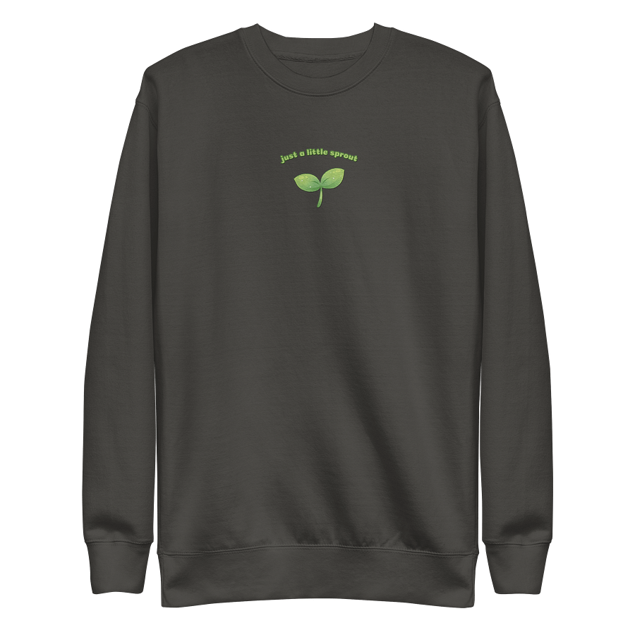 Just a little Sprout Embroidered Sweatshirt product image (3)
