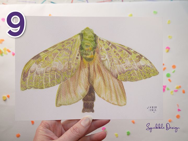 Supporter Print - Puriri Moth product image (1)