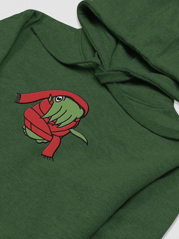 Cuttlefish Scarf Wrap Embroidered Hoodie - Green and Red product image (17)