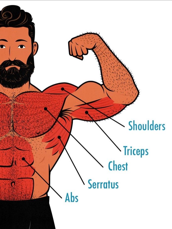 300 PUSHUPS - TEE product image (5)