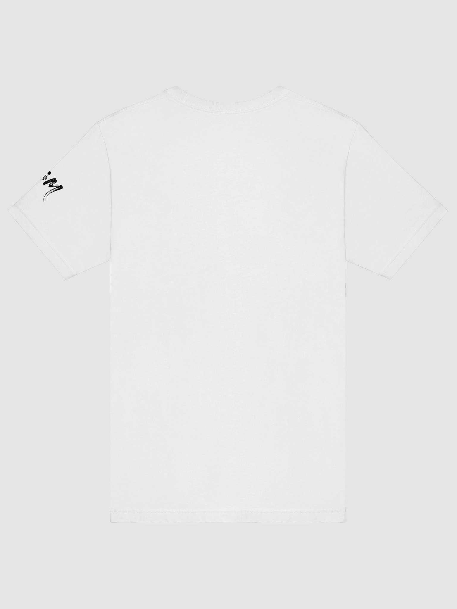 The Best One in the Room T-Shirt product image (28)