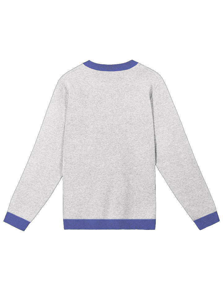 Team 'LIPUR' Knitwear Crew-neck Sweater product image (2)