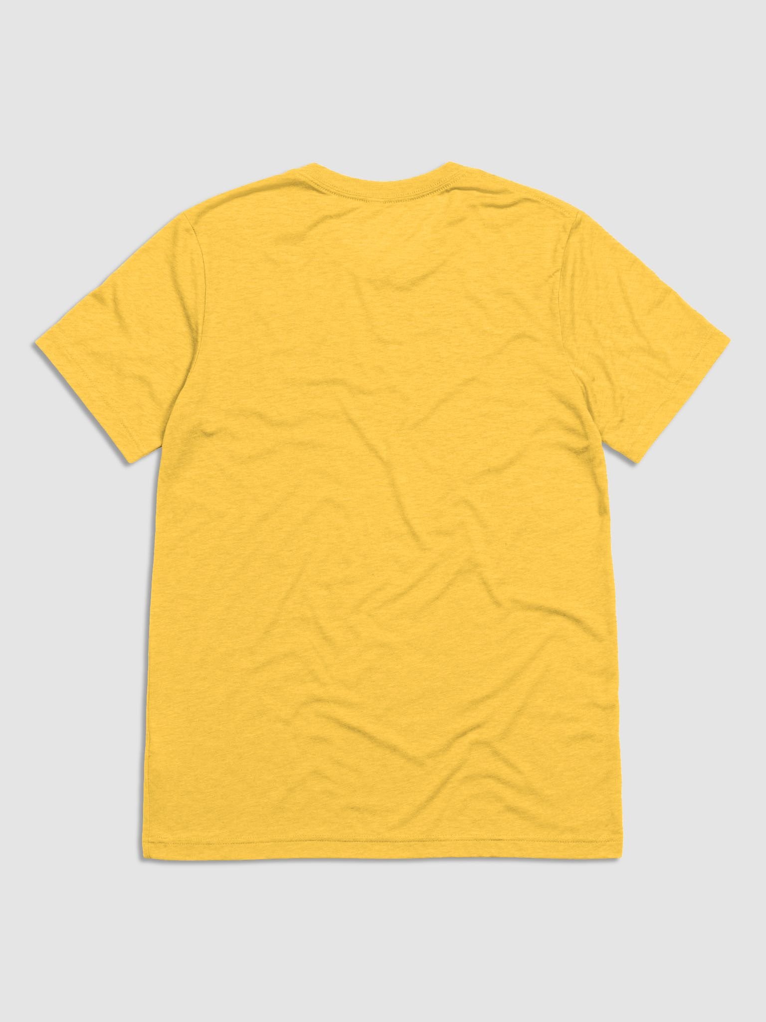 Dragon's Crest T-Shirt product image (5)
