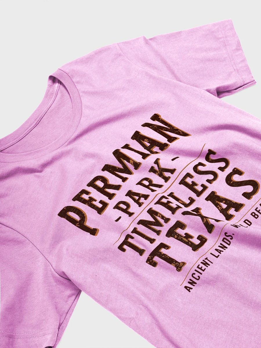 Permian Park Timeless Texas T-Shirt product image (16)