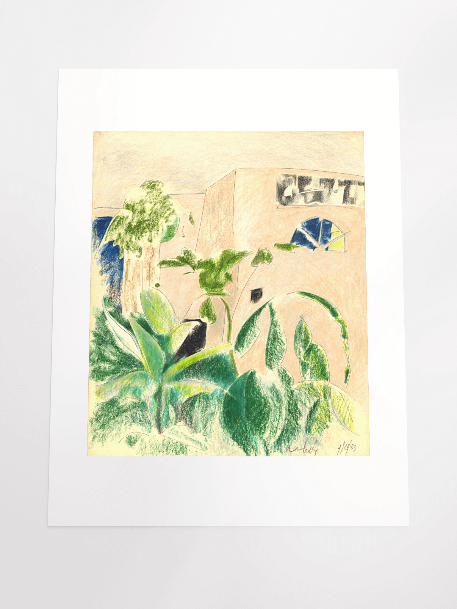 Plants & Windows (1010 home) 04.20.83 print product image (5)