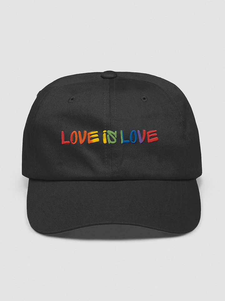Love Is Love - Embroidered Hat product image (1)
