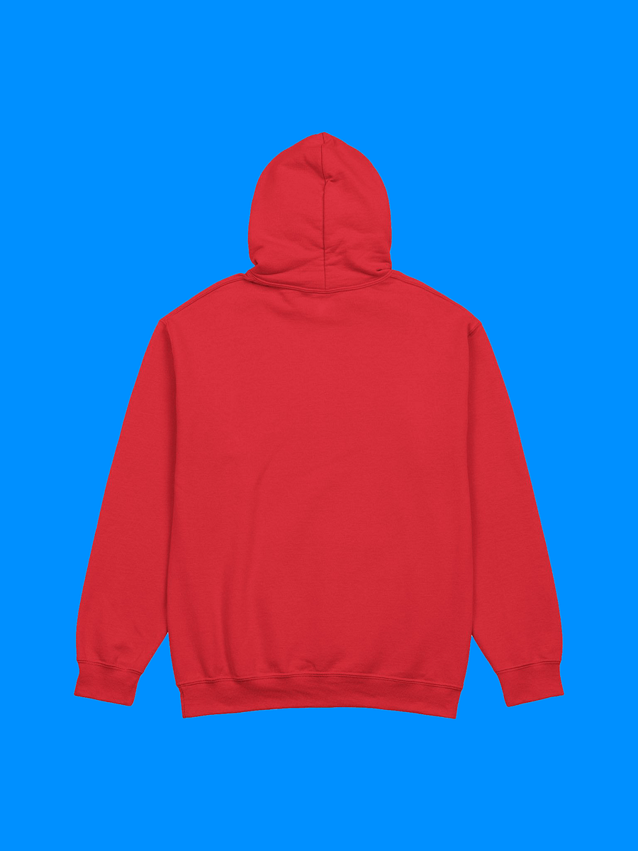 Looking Good Hoodie product image (3)