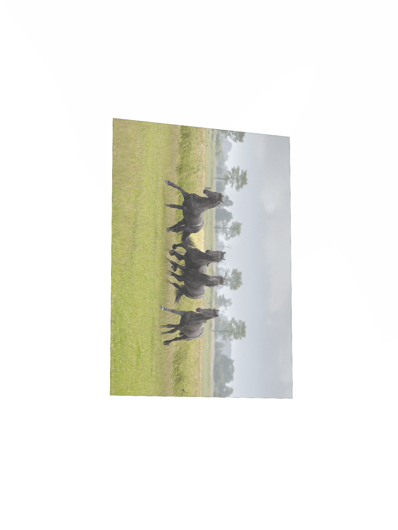 Wûnder, Willem, Wytse W & Wytse product image (4)