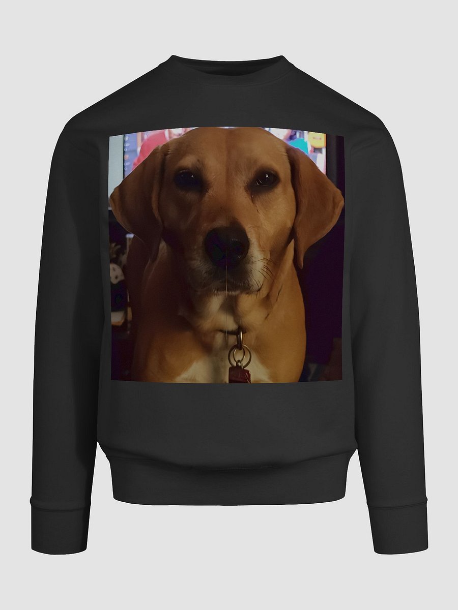 Luna Sweatshirt product image (89)