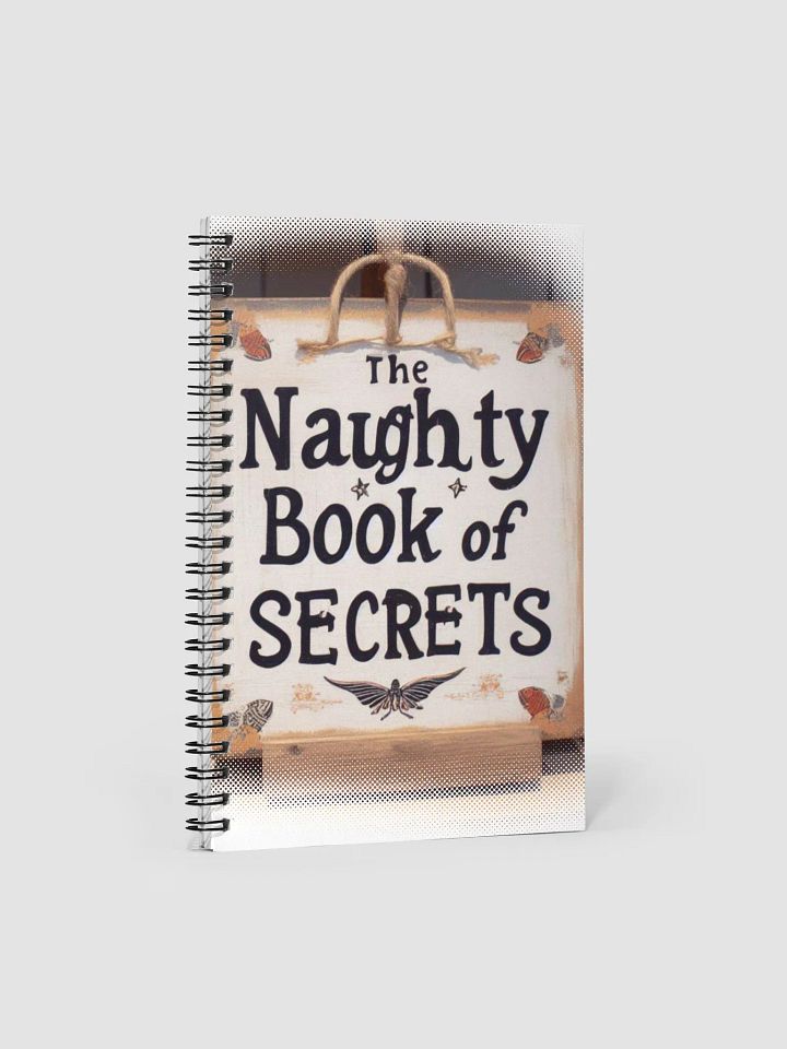 Naughty Book of Secrets product image (1)