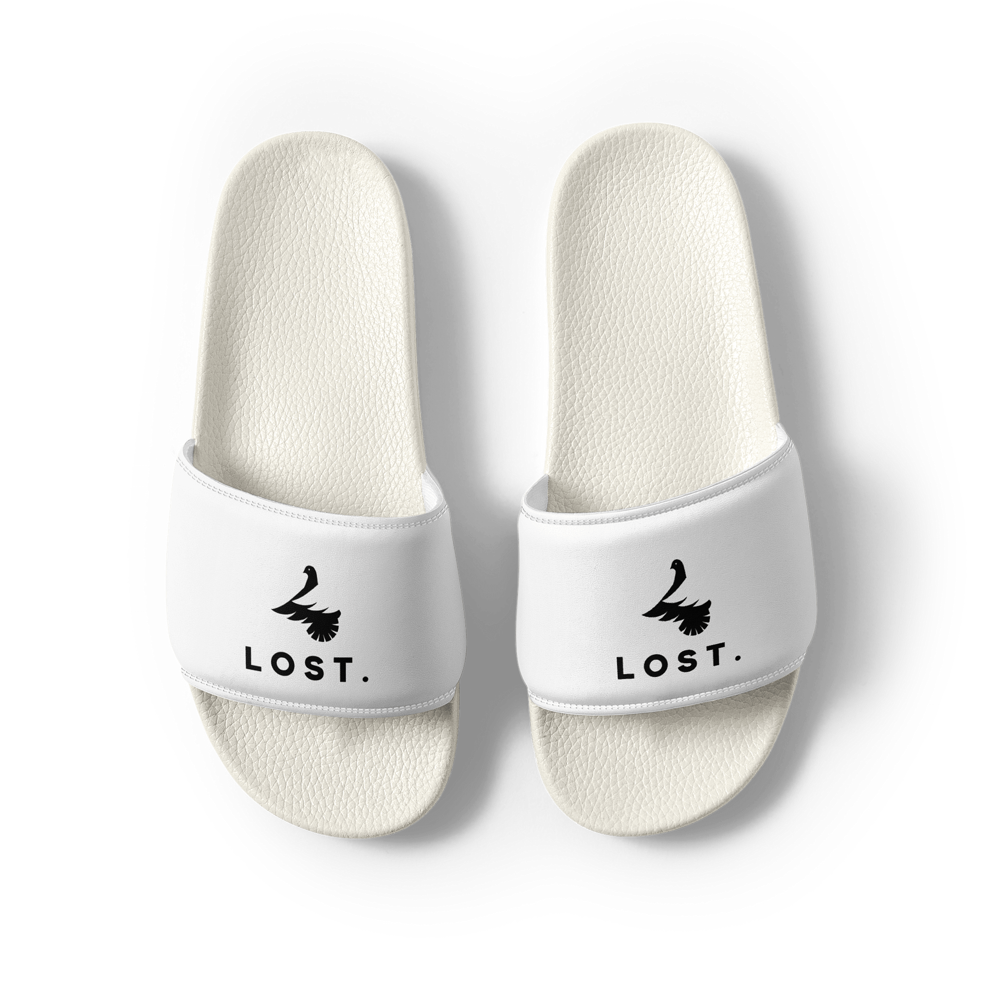 Lost Slides product image (1)