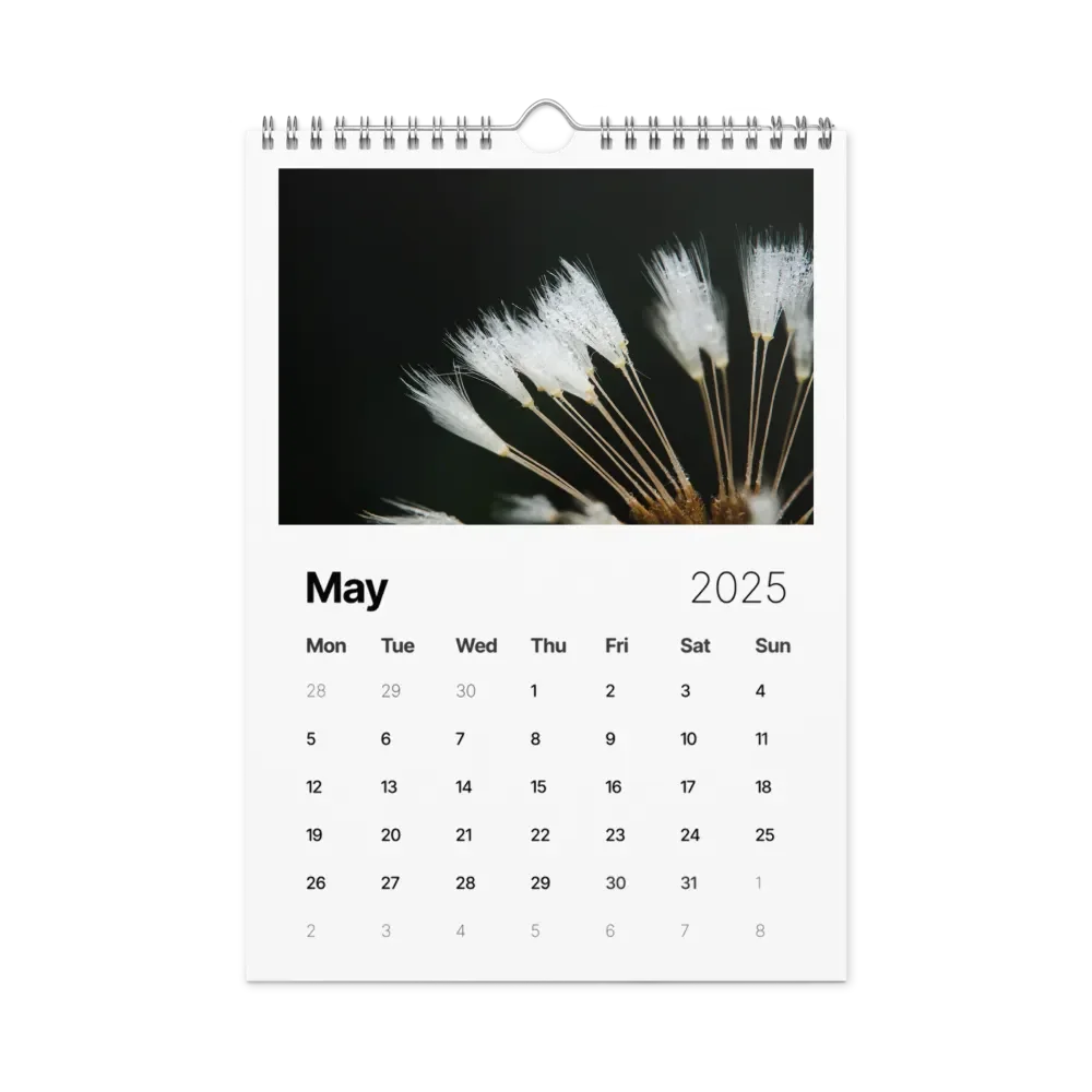 Ephemeral Dandelions 2025 Wall Calendar product image (6)