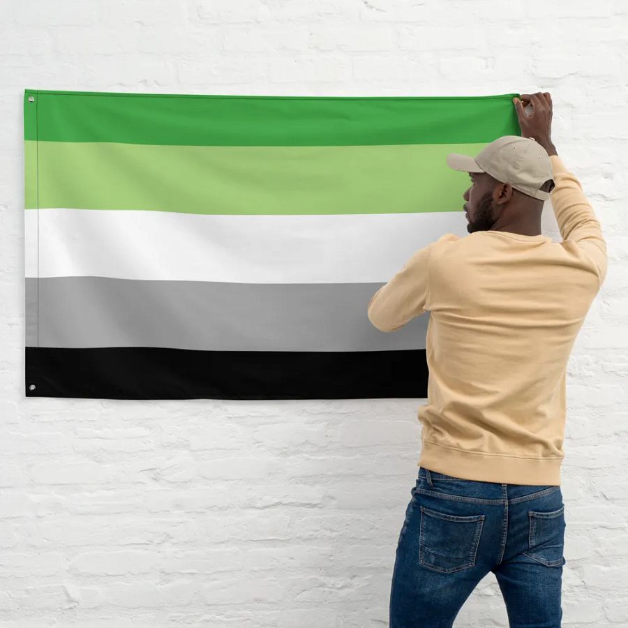 Aromantic Flag product image (11)