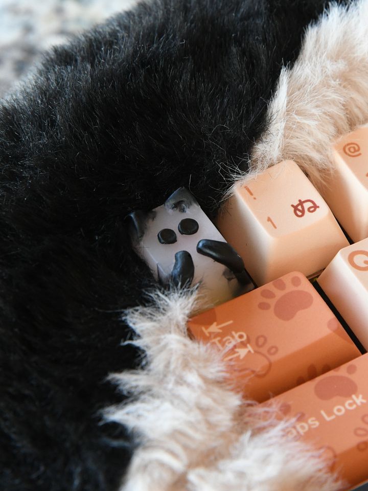 Spoopy Kitty Keycaps product image (1)