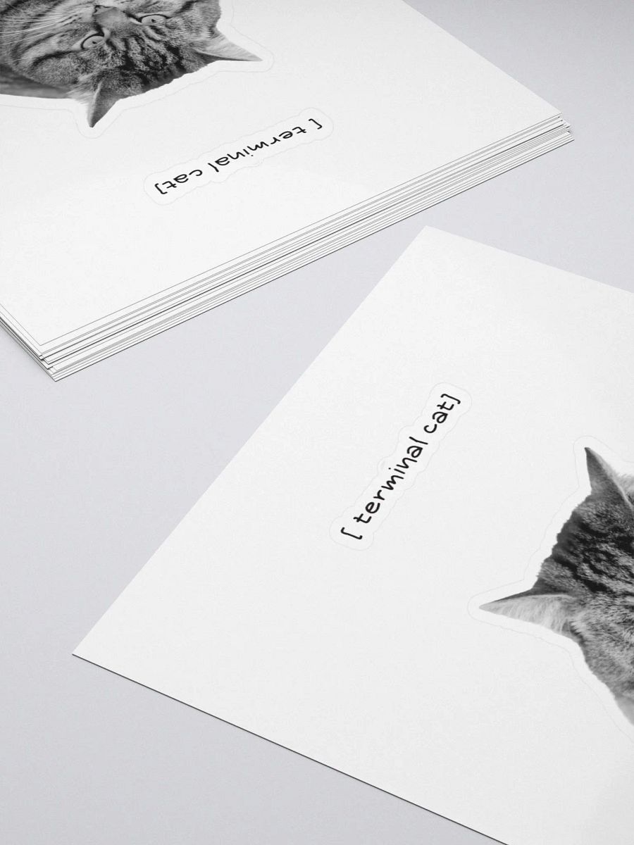 Terminal cat product image (4)