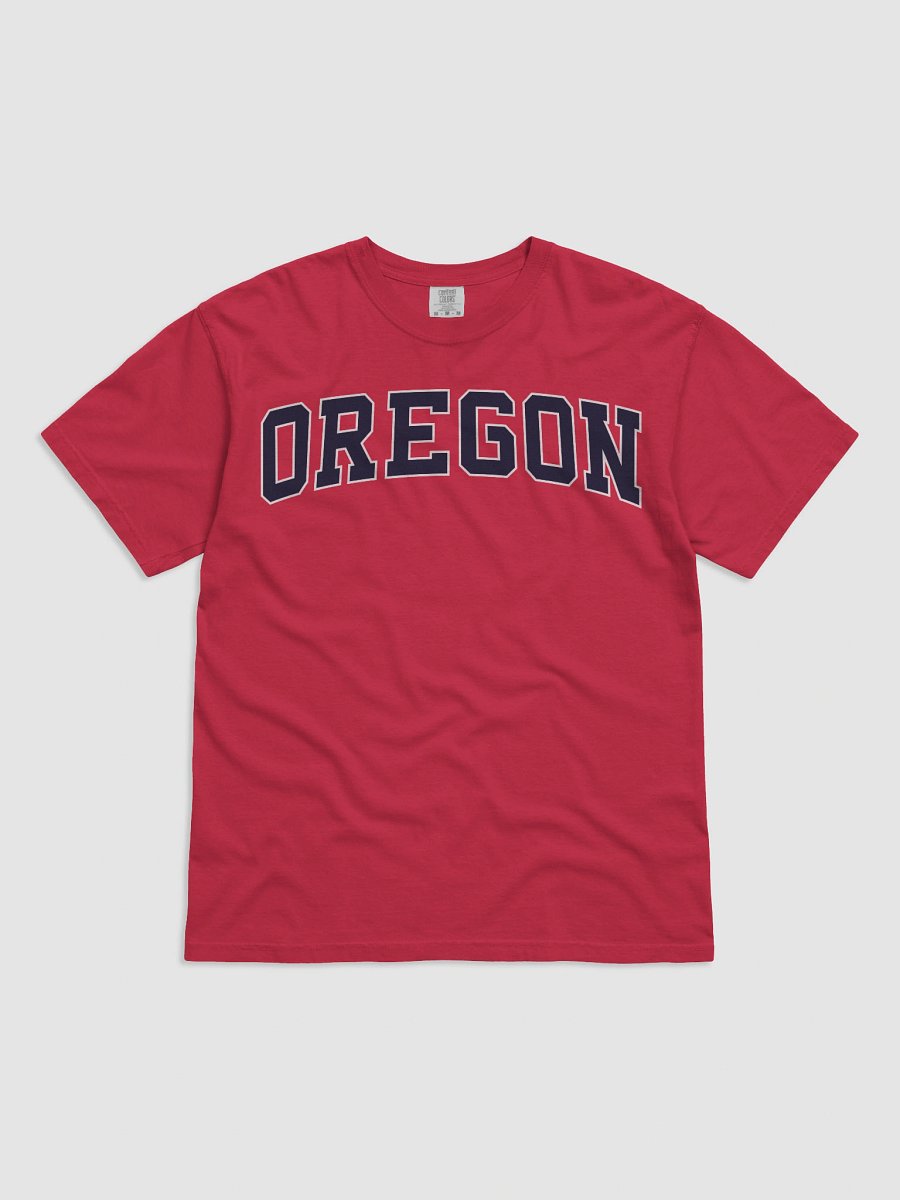 Oregon Vintage Stylish Unisex Garment-Dyed T-shirt product image (2)