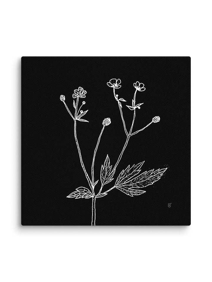 Botanical Reverie Canvas Prints - Wild Flowers Dark product image (2)