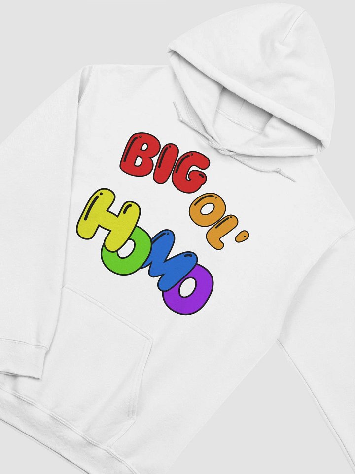 Big Ol' HOMO! Pullover product image (9)
