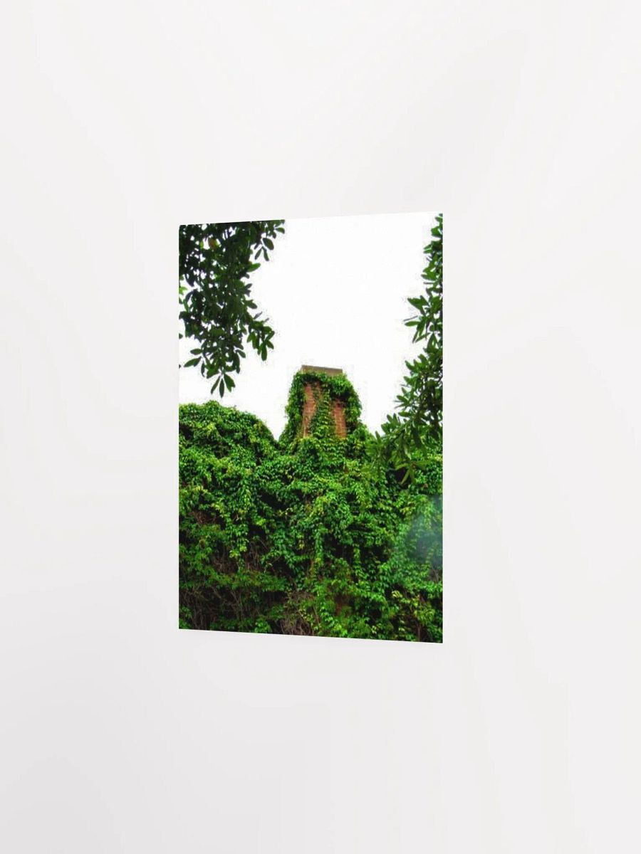 Plant Over-Growth product image (19)