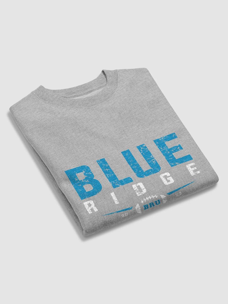 CHAMPION BLUE RIDGE PREMIUM SWEATSHIRT product image (11)