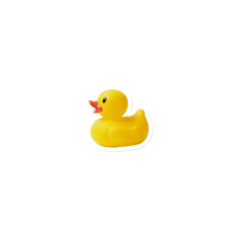 Duckgod71 Magnet