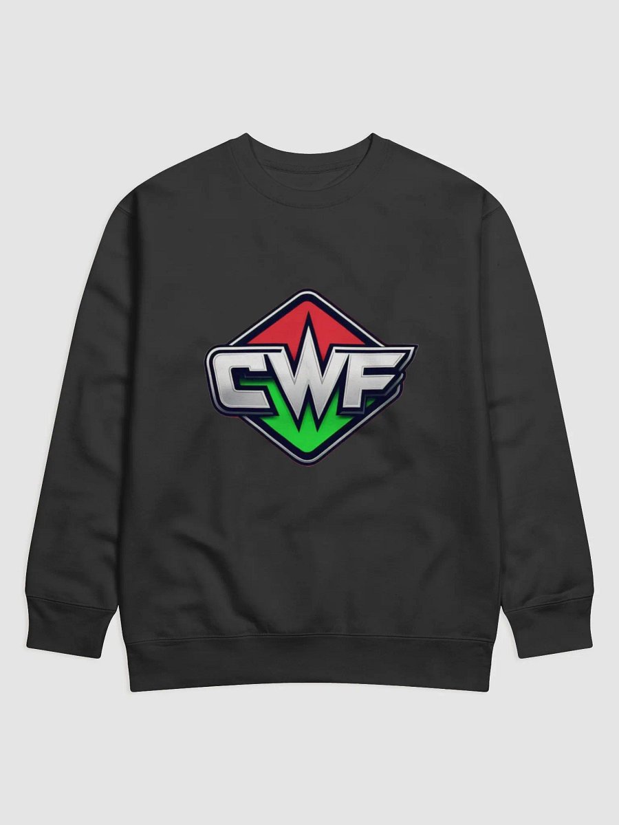 Diamond Fusions CWF Sweatshirt product image (1)