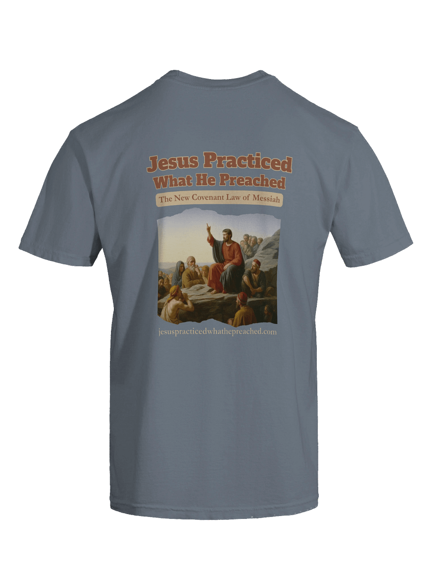 Jesus Practiced What He Preached Relaxed Heavyweight Tee product image (9)