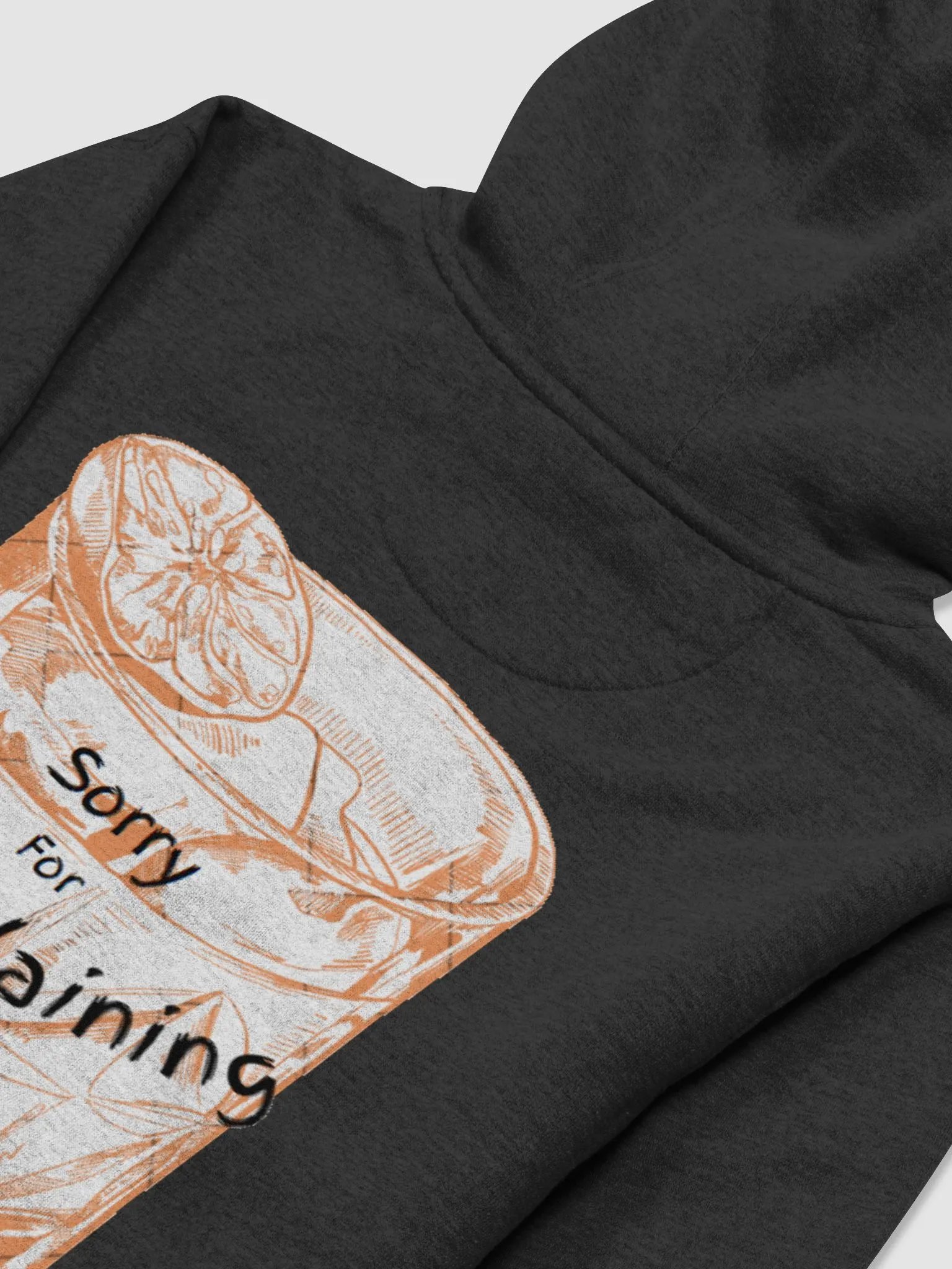 Sorry For Drinksplaining Hoodie product image (22)