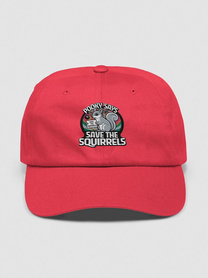 Baseball Hat: Pooky Says Save the squirrels, retro, colorful, circular with white font product image (1)