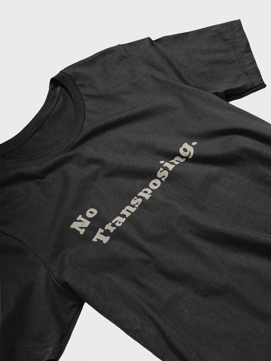 No Transposing T-Shirt - Black product image (3)