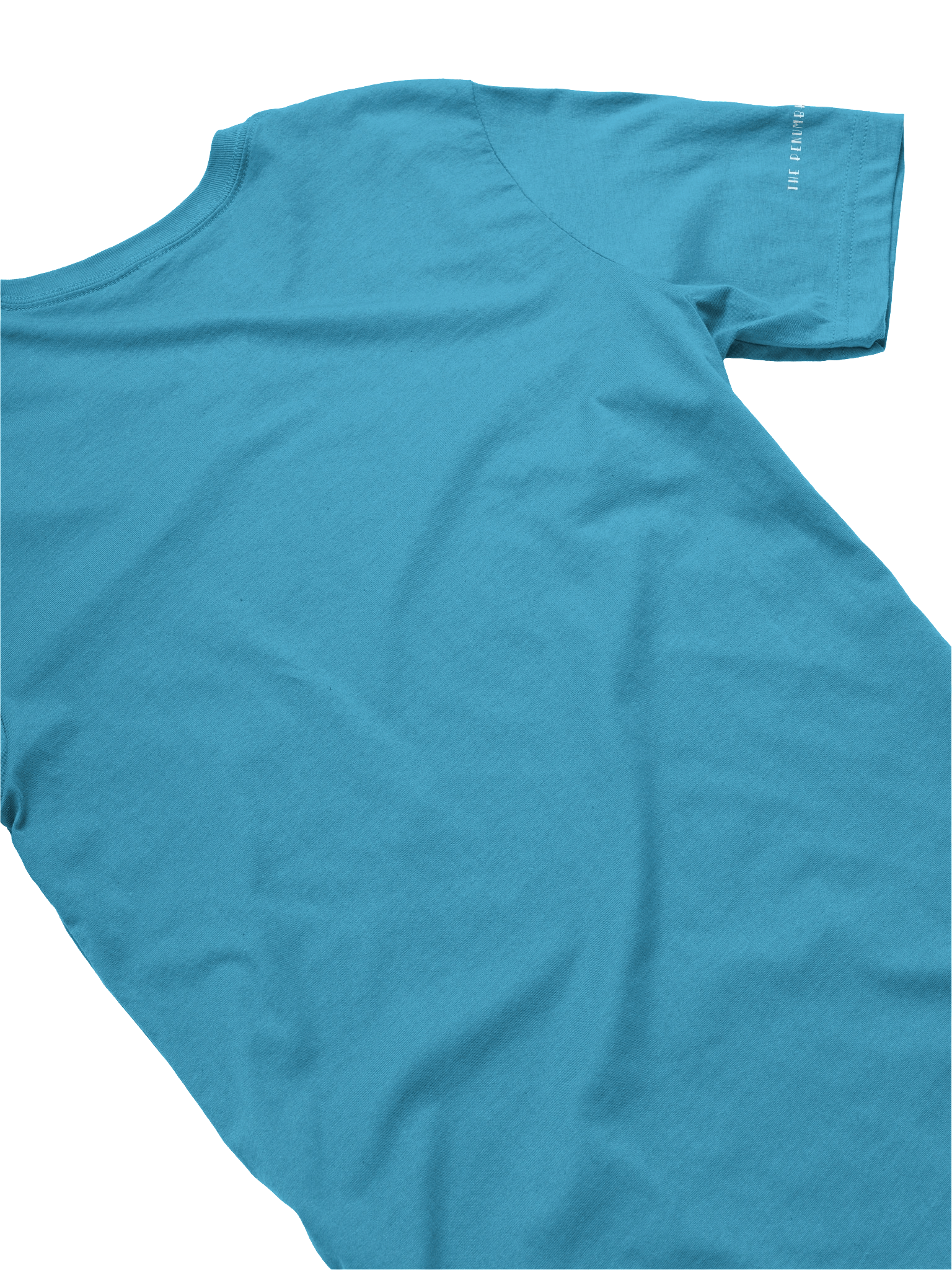 NO POST Wet Park T-Shirt (Aqua) v2 product image (4)