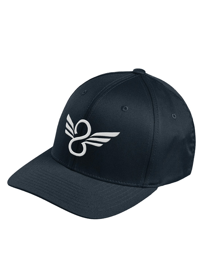 WD Fitted Cap product image (2)